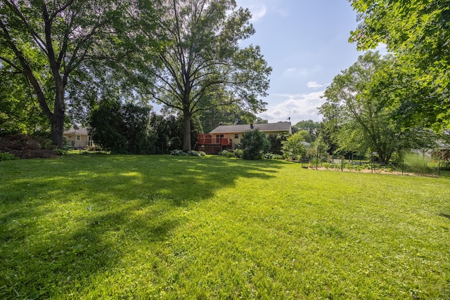 480 Budding Ridge Rd, Cheshire, CT 06410 - view of green lawn
