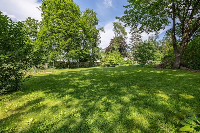 480 Budding Ridge Rd, Cheshire, CT 06410 - view of yard