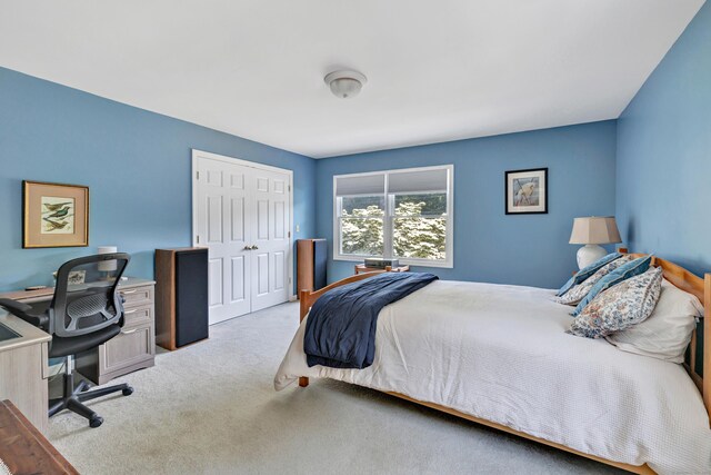 165 Booth Hill Rd, Trumbull, CT 06611 - bedroom with carpet floors, a closet, and an office area