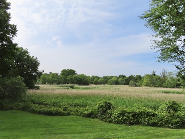 4 Johnny Cake Hill Rd, Old Lyme, CT 06371 - view of yard