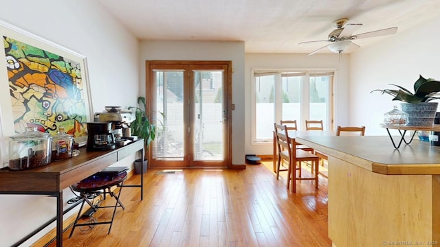 279 New Haven Ave Apt E, Milford, CT 06460 - foyer featuring ceiling fan, plenty of natural light, and light wood-type flooring