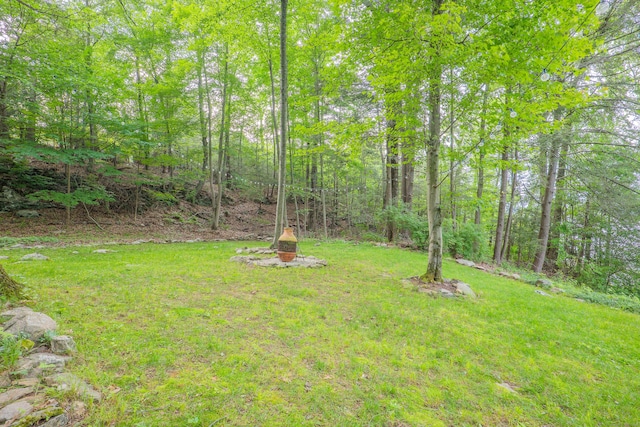 158 Stadley Rough Rd, Danbury, CT 06811 - view of green lawn featuring a wooded view
