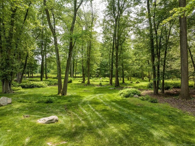 474 Ponus Rdg, New Canaan, CT 06840 - view of grassy yard