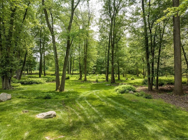 474 Ponus Rdg, New Canaan, CT 06840 - photo 36
