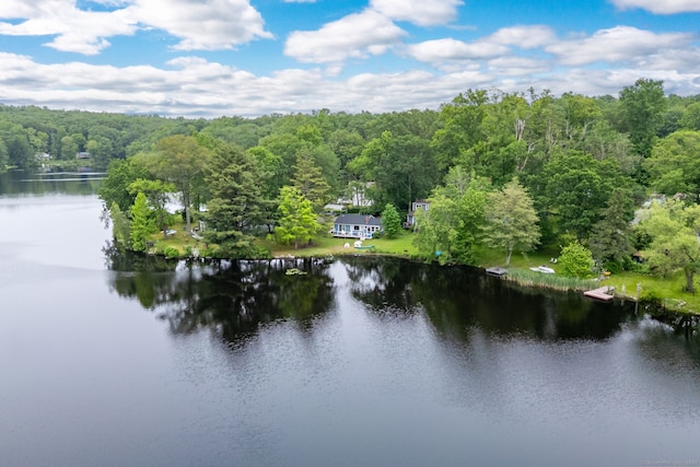 5 Lake Pt, Haddam, CT 06441 - water view with a forest