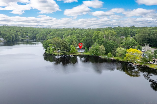 5 Lake Pt, Haddam, CT 06441 - aerial view of a heavily wooded area and a nearby body of water