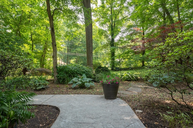 120 Highwoods Dr, Guilford, CT 06437 - view of yard featuring a patio
