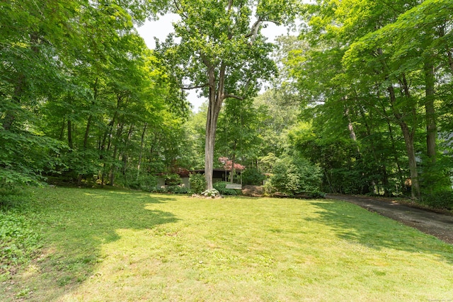 120 Highwoods Dr, Guilford, CT 06437 - view of green lawn featuring a forest view