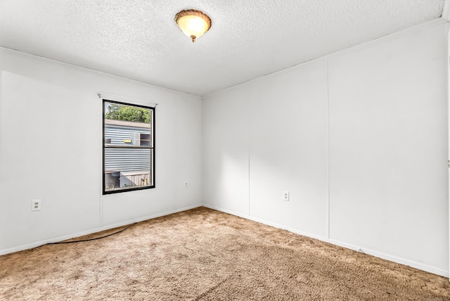 105 Woodland Park, Shelton, CT 06484 - empty room featuring a textured ceiling and carpet floors