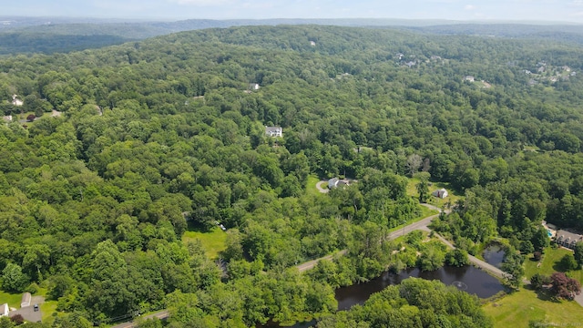 765 Kettletown Rd, Southbury, CT 06488 - drone / aerial view of a forest