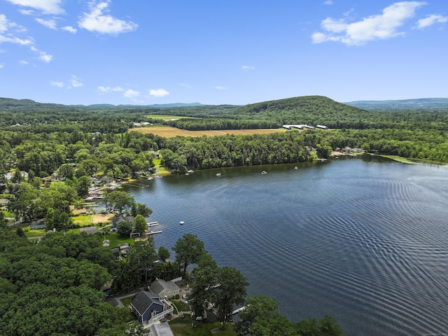440 Lakeview Dr, Suffield, CT 06093 - aerial view of a heavily wooded area and a nearby body of water