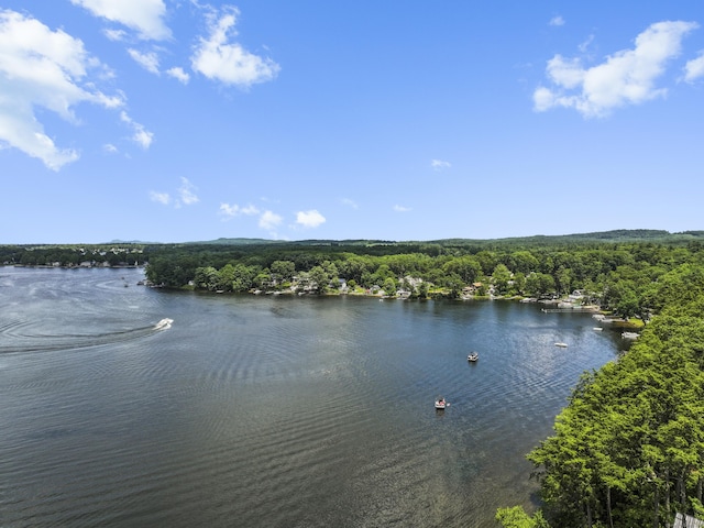 440 Lakeview Dr, Suffield, CT 06093 - water view featuring a forest