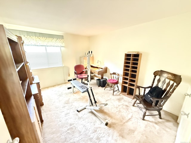 32 Heritage Vlg Unit C, Southbury, CT 06488 - exercise room with carpet floors