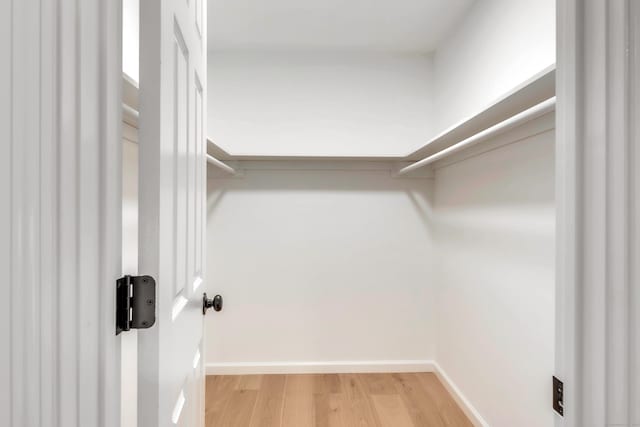 916 N Farms Rd, Wallingford, CT 06492 - spacious closet featuring light wood-type flooring
