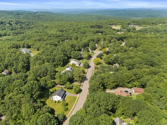 54 Heather Ln, Plymouth, CT 06786 - photo 33
