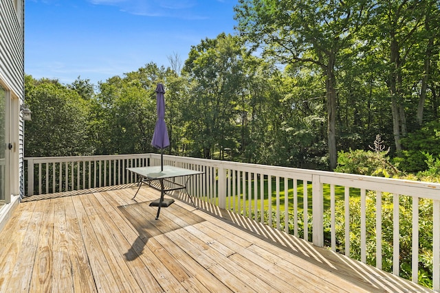 54 Heather Ln, Plymouth, CT 06786 - photo 35
