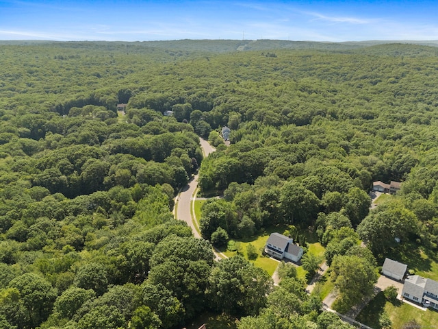 54 Heather Ln, Plymouth, CT 06786 - photo 37
