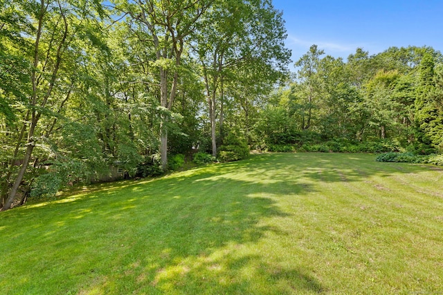 54 Heather Ln, Plymouth, CT 06786 - photo 38