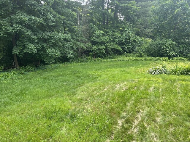 9 W Maxwell Dr, West Hartford, CT 06107 - photo 4