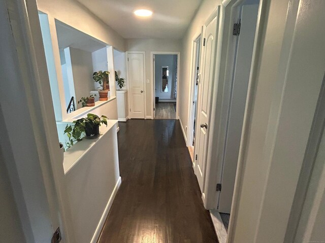 9 W Maxwell Dr, West Hartford, CT 06107 - photo 17