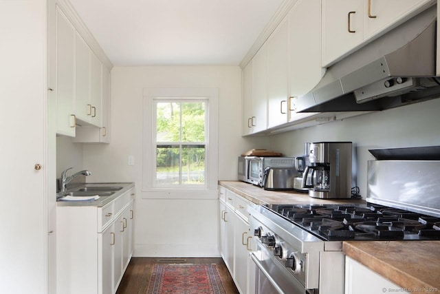 163 Dublin Rd, Canaan, CT 06031 - kitchen featuring stainless steel range with gas cooktop, under cabinet range hood, dark wood-style floors, and white cabinets