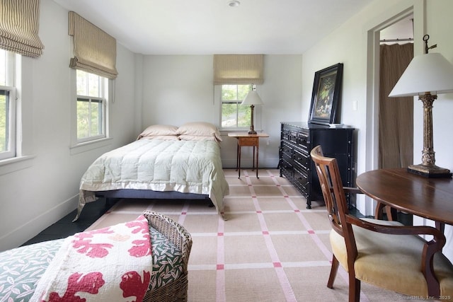 163 Dublin Rd, Canaan, CT 06031 - bedroom featuring multiple windows and light carpet