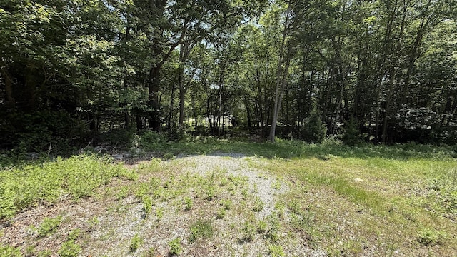 34 Braman Rd, Waterford, CT 06385 - photo 6