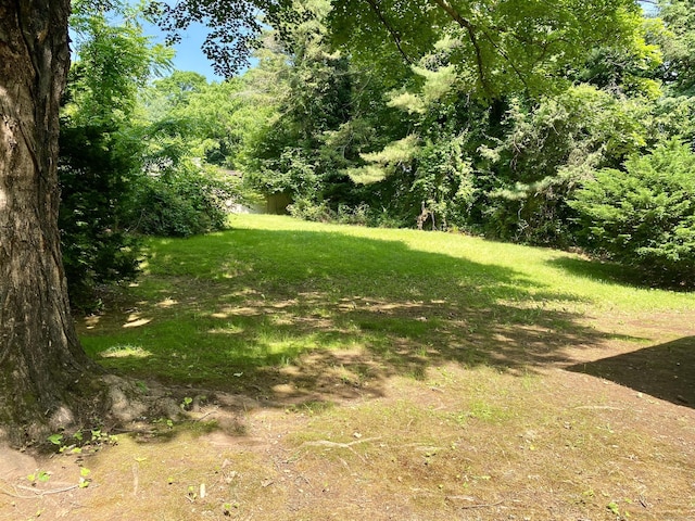 80 Murlyn Rd, Hamden, CT 06518 - view of yard