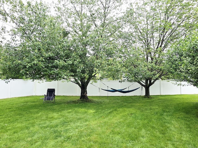 23 Teach St, Enfield, CT 06082 - view of yard