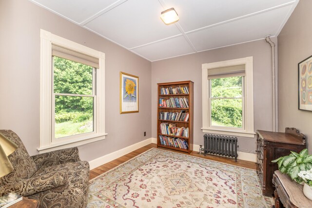 45 Harris Fuller Rd, Preston, CT 06365 - living area with radiator and wood finished floors