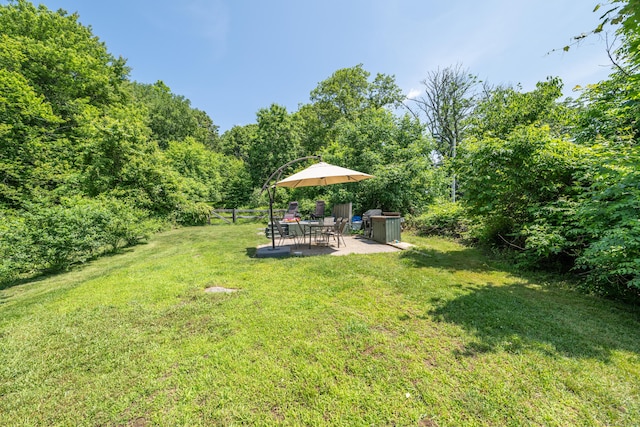 45 Harris Fuller Rd, Preston, CT 06365 - view of yard with a patio area
