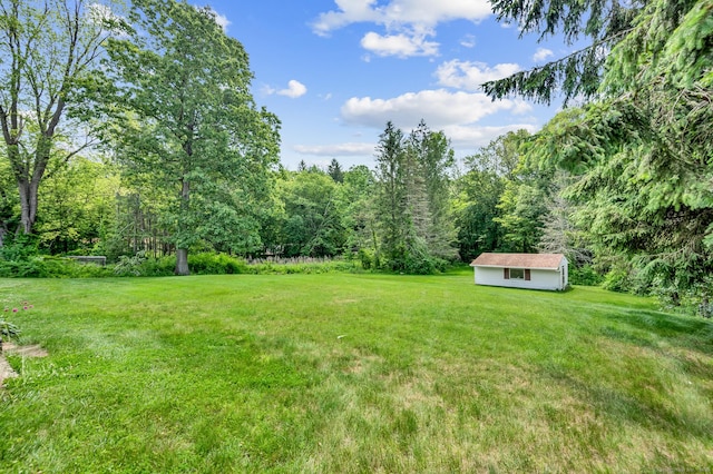 442 Merrow Rd, Tolland, CT 06084 - view of grassy yard with a view of trees and an outbuilding