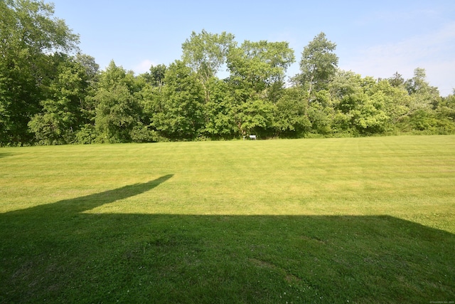 4 Whisconier Vlg Unit 4, Brookfield, CT 06804 - view of grassy yard