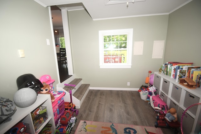 4 Whisconier Vlg Unit 4, Brookfield, CT 06804 - rec room featuring wood finished floors and crown molding
