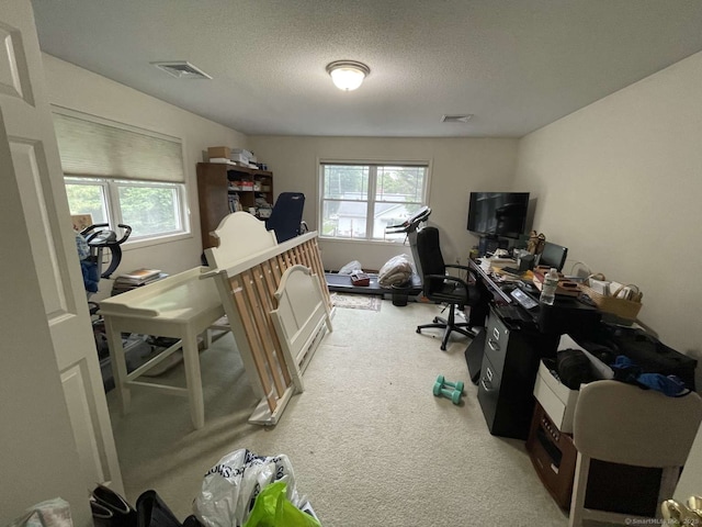 42 Bluff St, Westbrook, CT 06498 - home office featuring carpet, healthy amount of natural light, and a textured ceiling