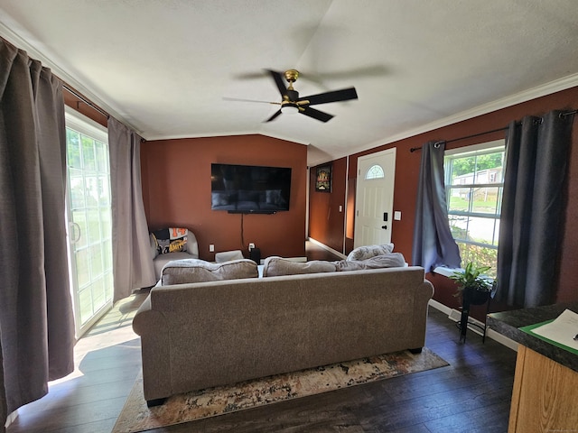 91 Chaffeeville Rd Trlr 16, Mansfield, CT 06250 - living room featuring dark wood-type flooring, a ceiling fan, vaulted ceiling, and crown molding