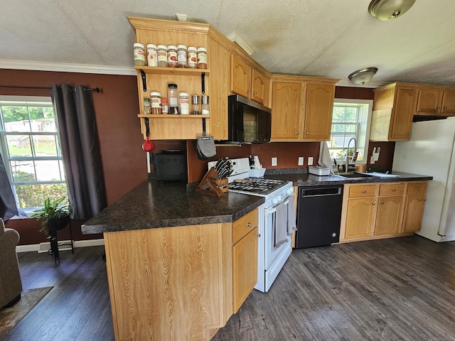 91 Chaffeeville Rd Trlr 16, Mansfield, CT 06250 - kitchen with black appliances, dark wood-type flooring, a textured ceiling, open shelves, and dark countertops