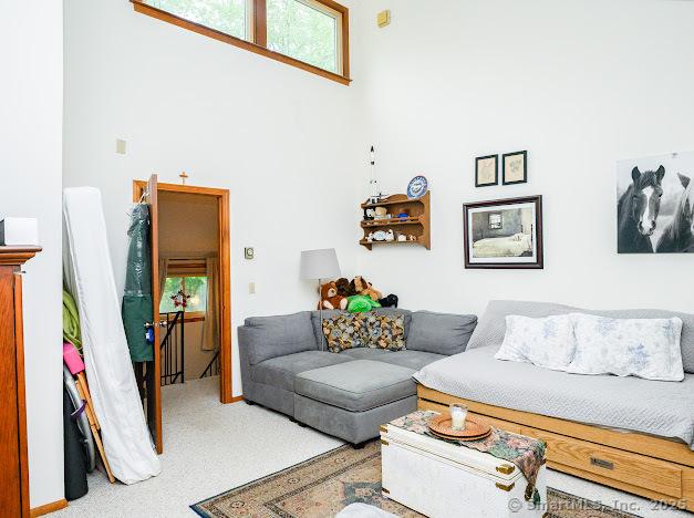 172 Old Farms Rd Unit 172, Torrington, CT 06790 - living room with a high ceiling and carpet