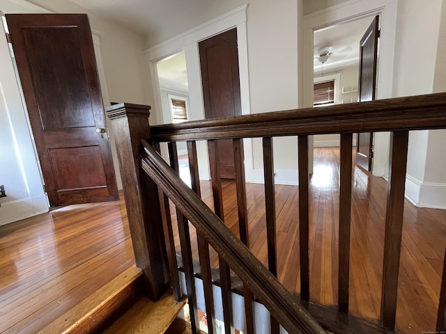 33 Mather St, Hamden, CT 06517 - photo 5