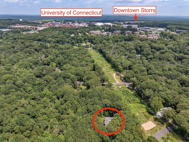 88 Hillyndale Rd, Mansfield, CT 06268 - aerial view of a forest