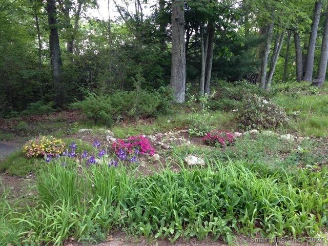 88 Hillyndale Rd, Mansfield, CT 06268 - view of yard