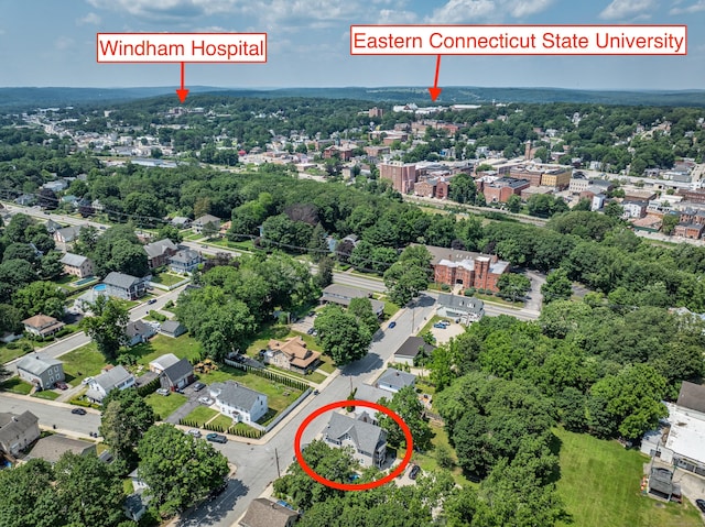 36 Lebanon Ave, Windham, CT 06226 - photo 8