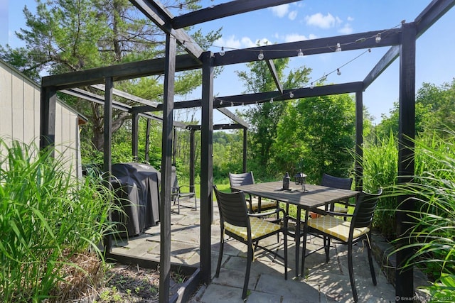 296 Black Rock Tpke, Redding, CT 06896 - view of patio with outdoor dining space and area for grilling