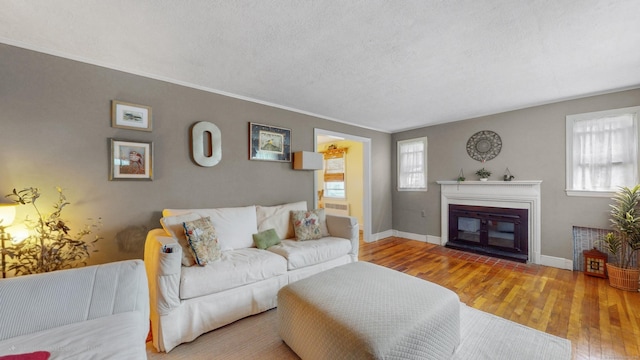 166 Catherine St, Hartford, CT 06106 - living area featuring a textured ceiling, hardwood / wood-style floors, and a fireplace with flush hearth