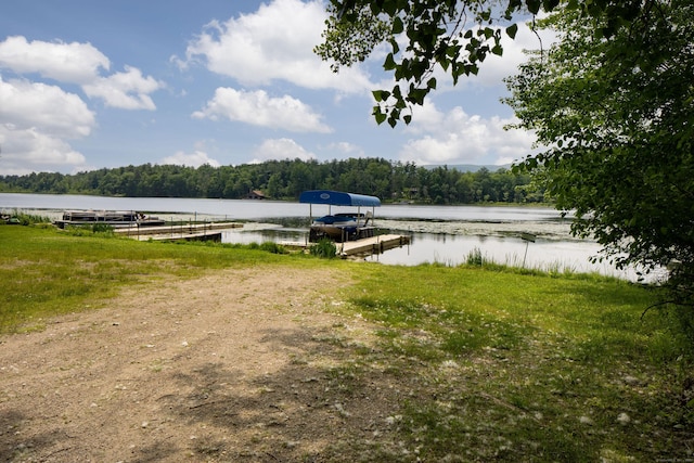 48 Preston Ln, Salisbury, CT 06068 - water view with a heavily wooded area and a boat dock
