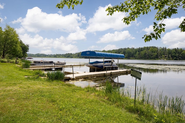 48 Preston Ln, Salisbury, CT 06068 - dock with a water view and a forest view