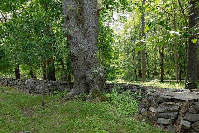 48 Preston Ln, Salisbury, CT 06068 - view of tree filled area