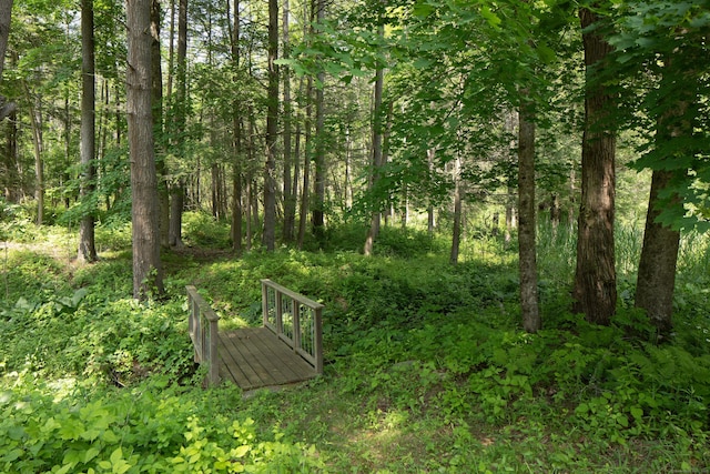 48 Preston Ln, Salisbury, CT 06068 - view of yard with a forest view