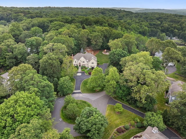 43 Chessor Ln, Wilton, CT 06897 - bird's eye view of a forest
