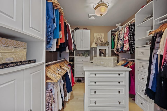 67 Hayden Hill Rd, Haddam, CT 06438 - spacious closet featuring light wood finished floors